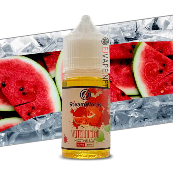 Steamwork New 2024 da lamlogo watermelon